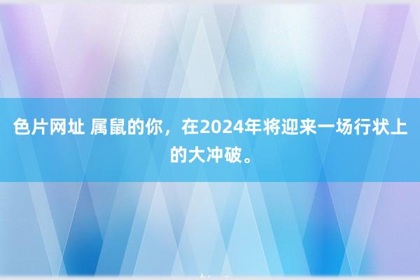 色片网址 属鼠的你，在2024年将迎来一场行状上的大冲破。